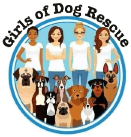 Girls Of Dog Rescue